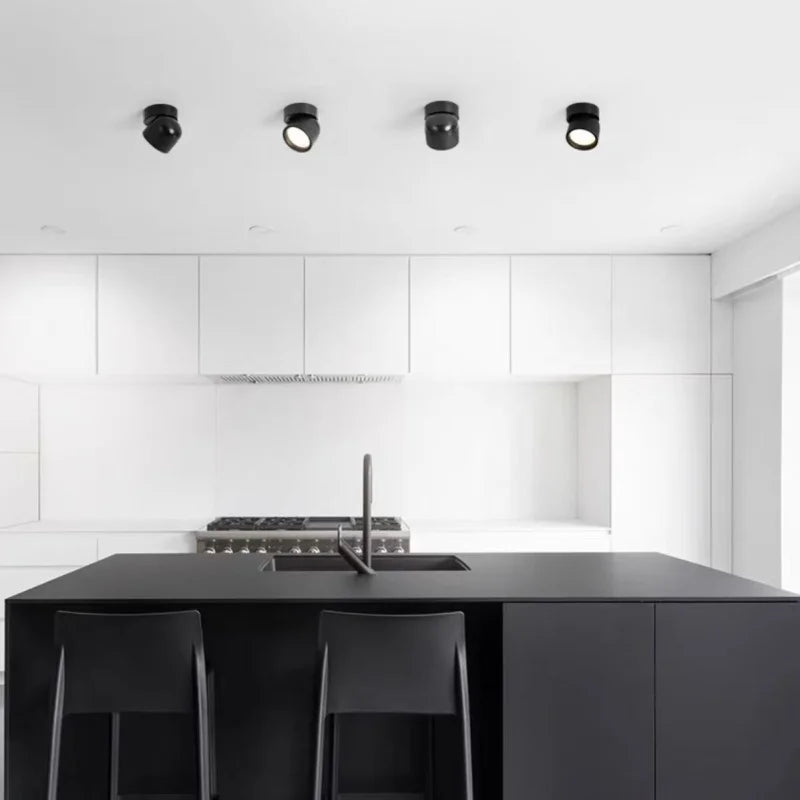 Downlight LED Cuisine Rotatif Dimmable Noir Blanc