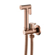Douchette WC Murale avec Robinet d'Arrêt et Flexible 1,2 m, 5 Finitions