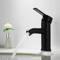 Mitigeur de Lavabo à Trou Unique en Acier Inoxydable