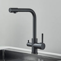 Mitigeur Cuisine Eau Filtrée Monotrou, Double Poignée, 9 Finitions