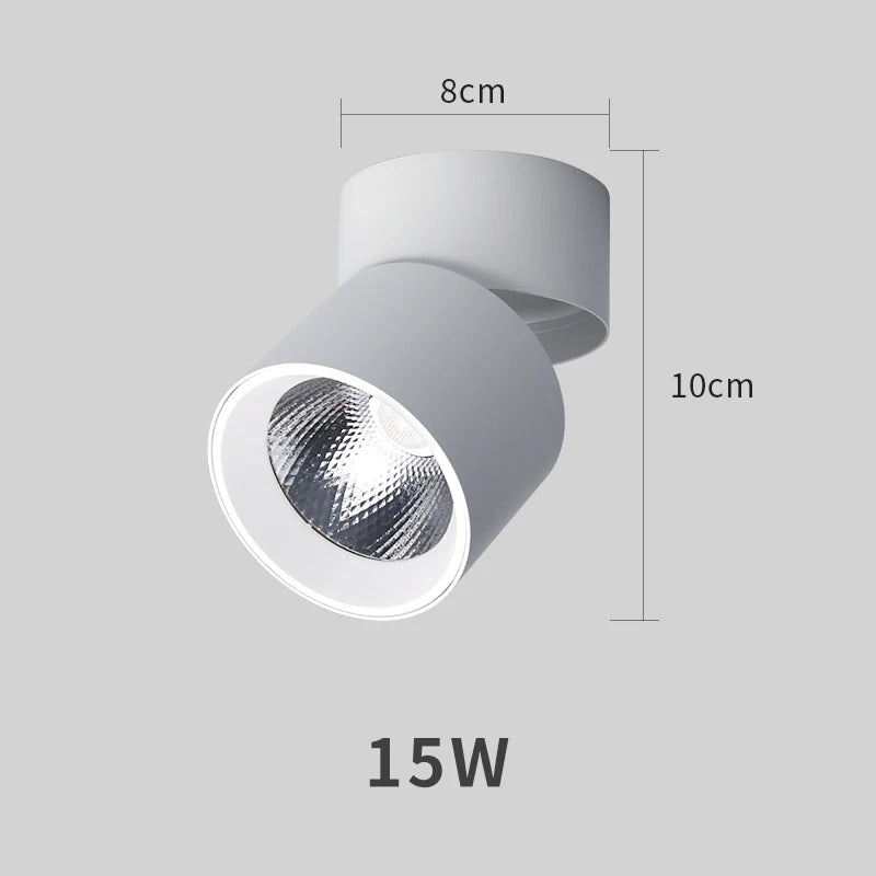 Spot Salle de Bain Orientable Pliable en Saillie