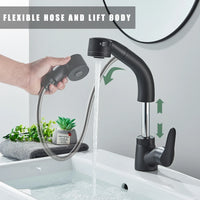 Mitigeur Lavabo Douchette Extractible Noir Mat