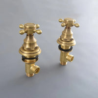 Colonne de Douche Murale Laiton Vieilli avec Pommeau Pluie 20 cm