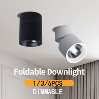 Spot Salle de Bain Orientable Pliable en Saillie