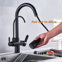 Mitigeur Cuisine Douchette Extractible avec Bec Eau Filtrée, Double Poignée