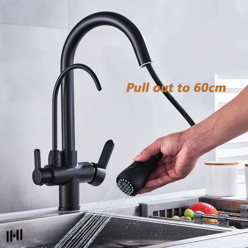 Mitigeur Cuisine Douchette Extractible avec Bec Eau Filtrée, Double Poignée