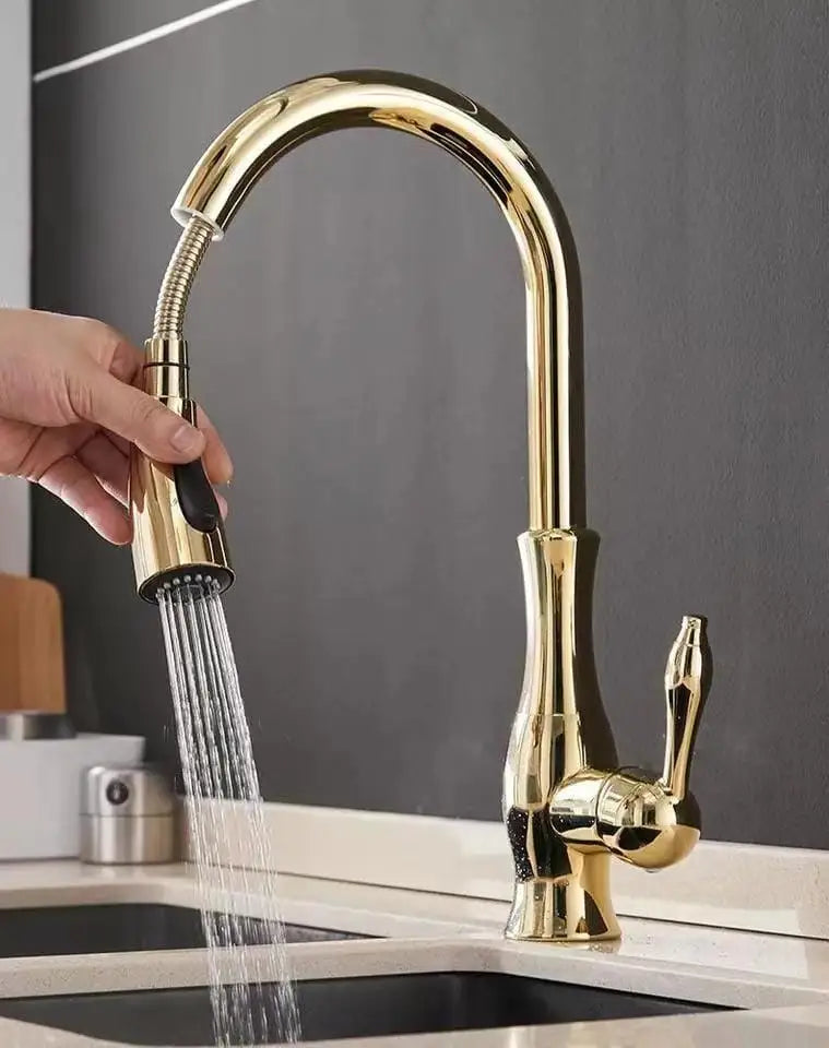 Mitigeur de Cuisine Extractible 2 Modes de Jet Pivotant