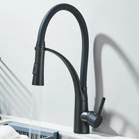 Mitigeur Cuisine Laiton Douchette Extractible Col Souple Noir, Hauteur 42 cm