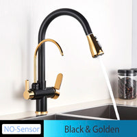 Mitigeur Cuisine Douchette Extractible avec Bec Eau Filtrée, Double Poignée