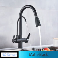 Mitigeur Cuisine Douchette Extractible avec Bec Eau Filtrée, Double Poignée