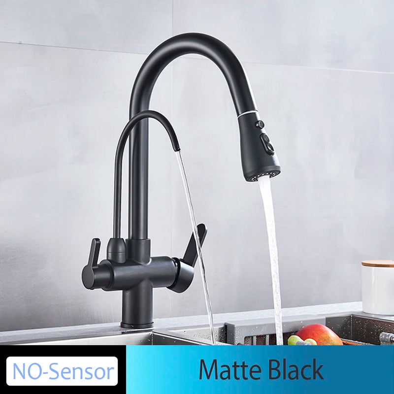 Mitigeur Cuisine Douchette Extractible avec Bec Eau Filtrée, Double Poignée