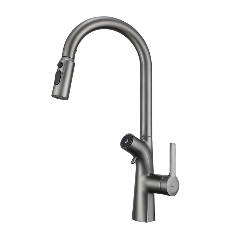 Mitigeur de Cuisine Extractible avec Filtre à Eau Double Bec
