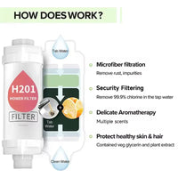 Filtre de Douche Vitamine C Parfumé, 15 Parfums, Seul ou en Lot