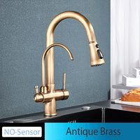 Mitigeur Cuisine Douchette Extractible avec Bec Eau Filtrée, Double Poignée