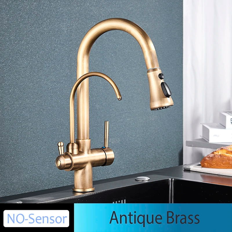 Mitigeur Cuisine Douchette Extractible avec Bec Eau Filtrée, Double Poignée