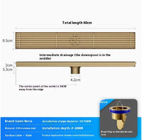 Caniveau de Douche Doré Inox 304, 20 à 60 cm de Long