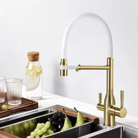 Mitigeur Cuisine Eau Filtrée 3 Voies Double Bec, 11 Modèles