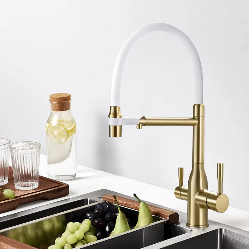 Mitigeur Cuisine Eau Filtrée 3 Voies Double Bec, 11 Modèles
