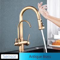 Mitigeur Cuisine Douchette Extractible avec Bec Eau Filtrée, Double Poignée