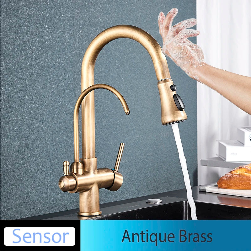 Mitigeur Cuisine Douchette Extractible avec Bec Eau Filtrée, Double Poignée