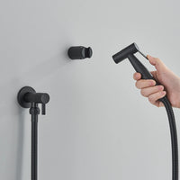 Douchette WC Murale Kit Complet Plusieurs Finitions