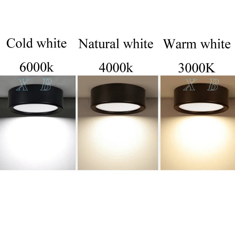 Spot LED Rond Plat en Saillie Cuisine, 3 à 20 W, Ø 75 à 150 mm, Noir, Blanc ou Doré