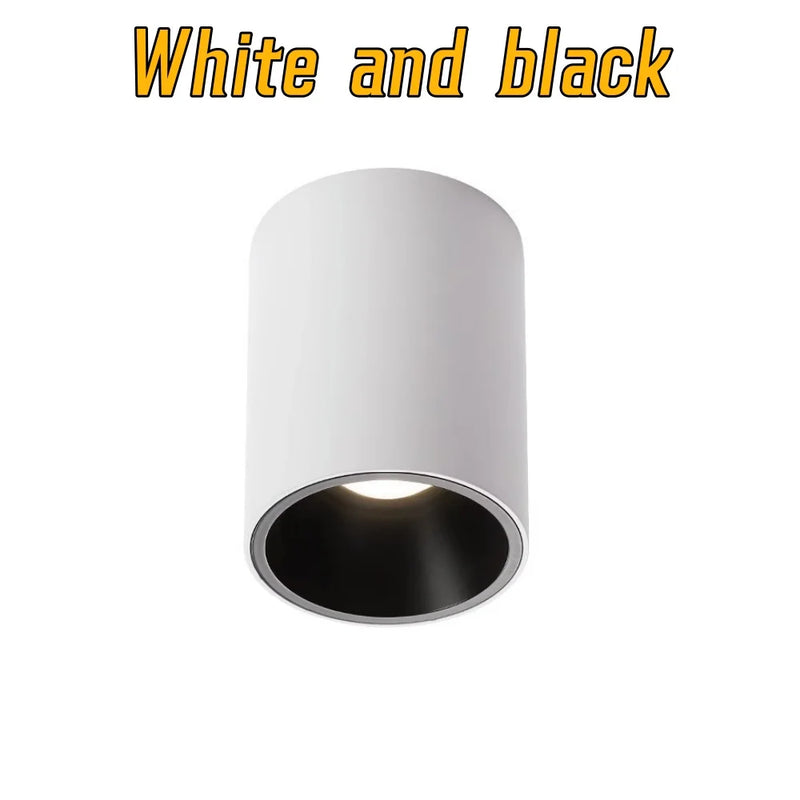 Spot LED Cuisine Cylindrique en Saillie, 3 Finitions, 5 à 30 W