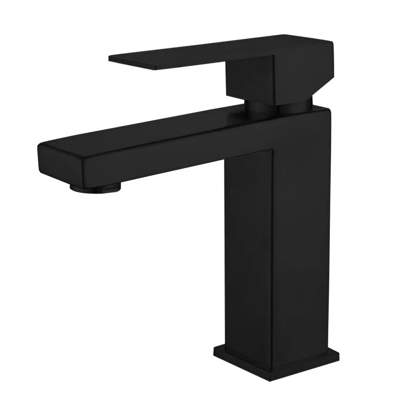 Mitigeur de Lavabo Inox 304 Eau Chaude et Froide