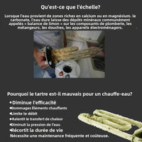 Filtre Anti-Calcaire Sans Sel Maison Inox 225 mm, Raccords 1 Pouce