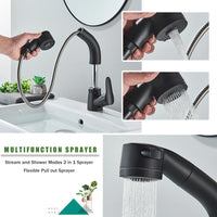 Mitigeur Lavabo Douchette Extractible Noir Mat