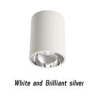 Spot LED Cuisine en Saillie Cylindre COB Anti-Éblouissement Dimmable, 5 à 24 W