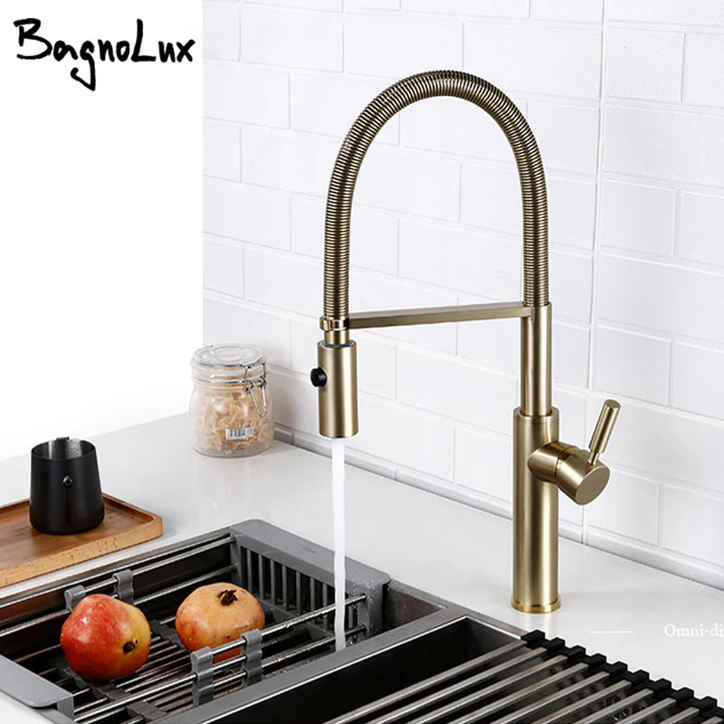 Mitigeur de Cuisine en Laiton Poli Bec Extractible