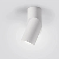 Spot LED Orientable en Saillie pour Cuisine, Noir ou Blanc, 10 à 25 W