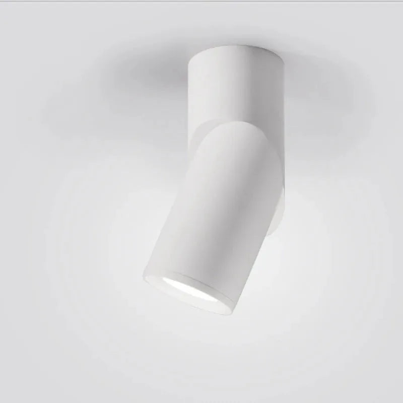 Spot LED Orientable en Saillie pour Cuisine, Noir ou Blanc, 10 à 25 W