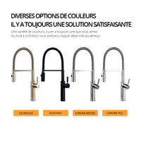 Mitigeur de Cuisine en Laiton Poli Bec Extractible