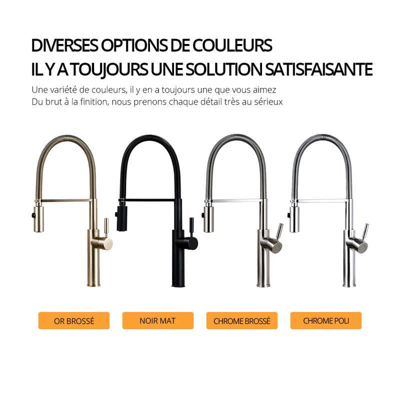 Mitigeur de Cuisine en Laiton Poli Bec Extractible