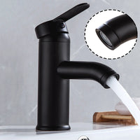 Mitigeur de Lavabo à Trou Unique en Acier Inoxydable