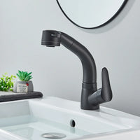 Mitigeur Lavabo Douchette Extractible Noir Mat