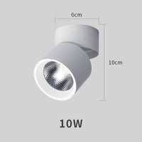 Spot Salle de Bain Orientable Pliable en Saillie