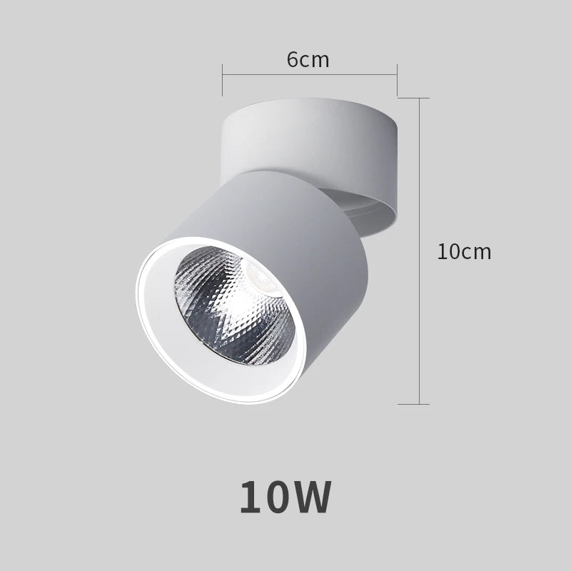 Spot Salle de Bain Orientable Pliable en Saillie