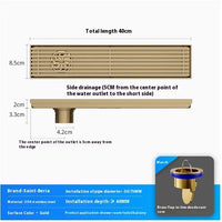 Caniveau de Douche Doré Inox 304, 20 à 60 cm de Long
