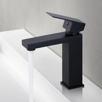 Mitigeur de Lavabo Inox 304 Eau Chaude et Froide