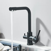 Mitigeur Cuisine Eau Filtrée Monotrou, Double Poignée, 9 Finitions