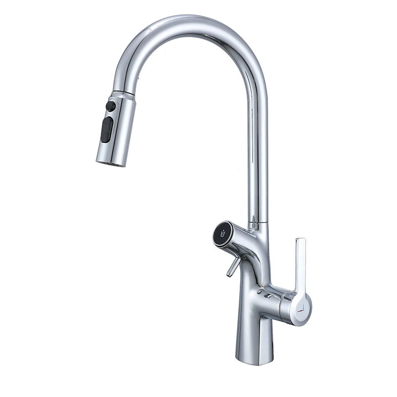 Mitigeur de Cuisine Extractible avec Filtre à Eau Double Bec