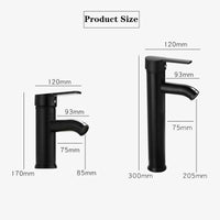 Mitigeur de Lavabo à Trou Unique en Acier Inoxydable
