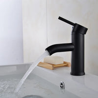 Mitigeur de Lavabo à Trou Unique en Acier Inoxydable