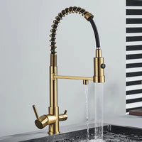 Mitigeur Cuisine Eau Filtrée 3 Voies Double Bec, 11 Modèles