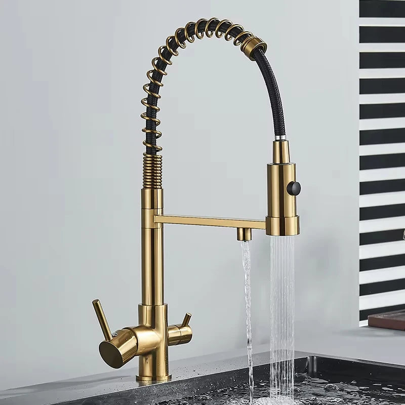 Mitigeur Cuisine Eau Filtrée 3 Voies Double Bec, 11 Modèles